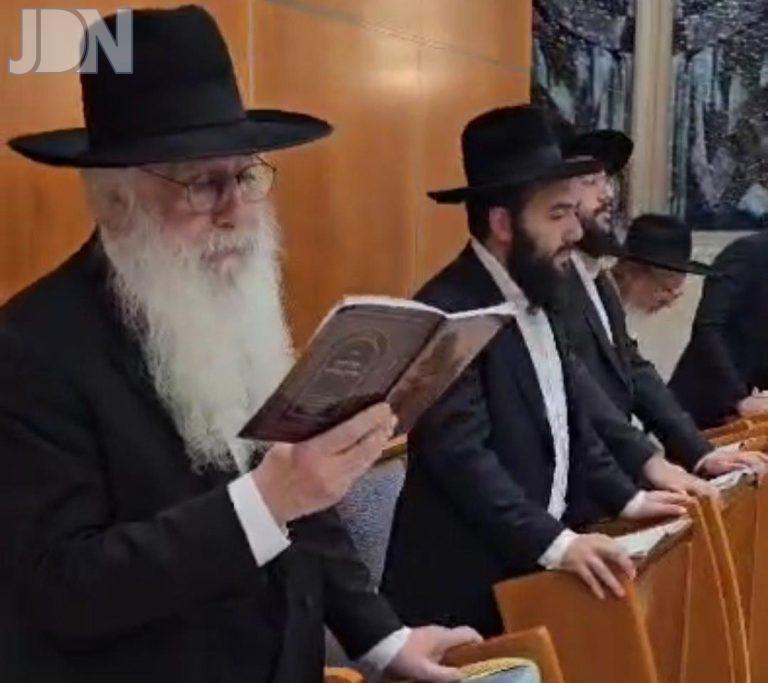הילולא (18)