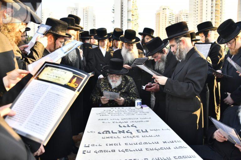 הקמת מצבה ויזל (3)