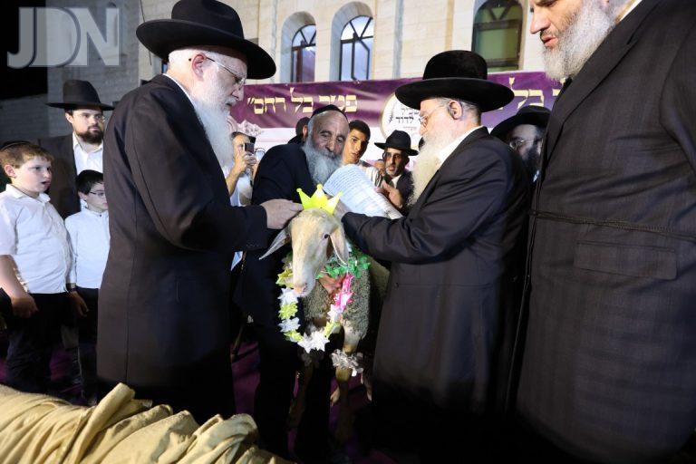 רבי רפאל אביחצירא פדיון פטר חמור (15)