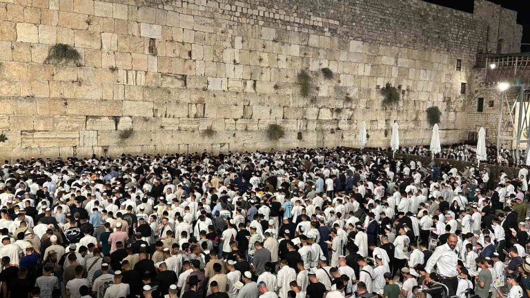 תמונה של WhatsApp_ 2024-09-05 בשעה 10.29