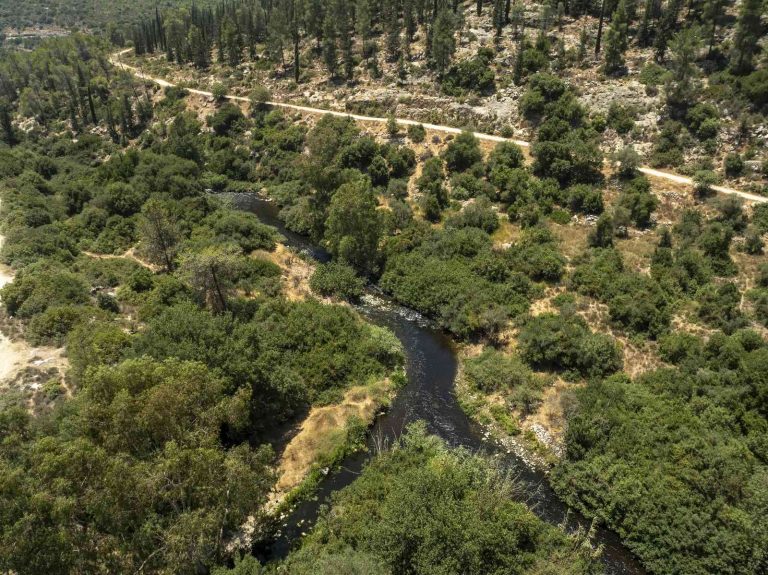 תמונה של WhatsApp_ 2024-09-21 בשעה 23.24
