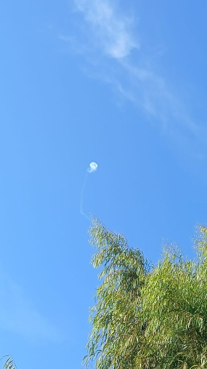 תמונה של WhatsApp‏ 2024-09-09 בשעה 08.23