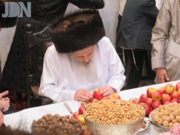 15 בזריקת הפירות נעילת החג