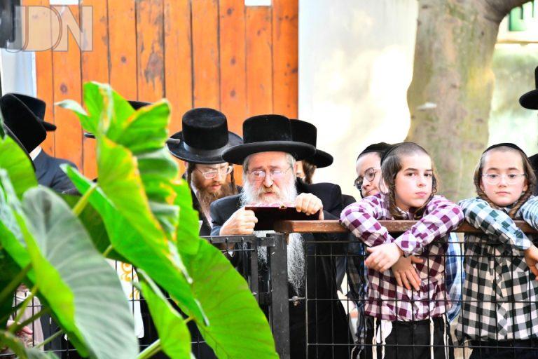 אב''ד סקולען ב''ב תשליך (2)