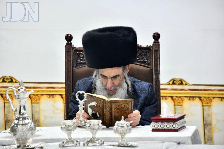 אלכסנדר טיש סוכות (6)