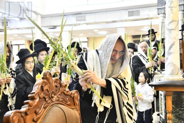 אלכסנדר נענועים (4)