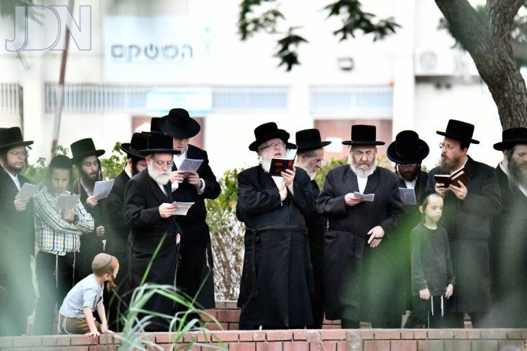 בוהוש תשליך (5)