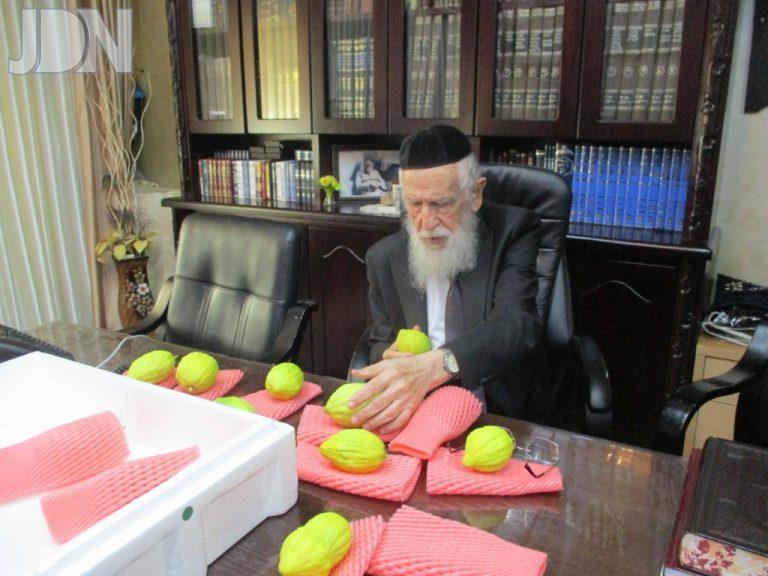 הגר''א טופיק אתרוג (7)