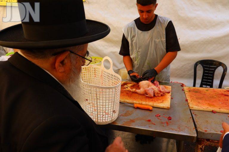הגר''א סאלים כפרות (3)