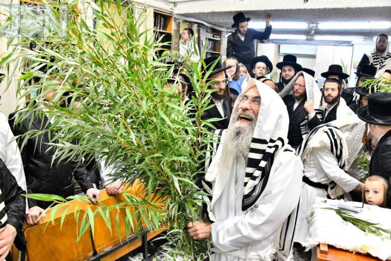 הגרא''א בידרמן הושענא רבא (26)