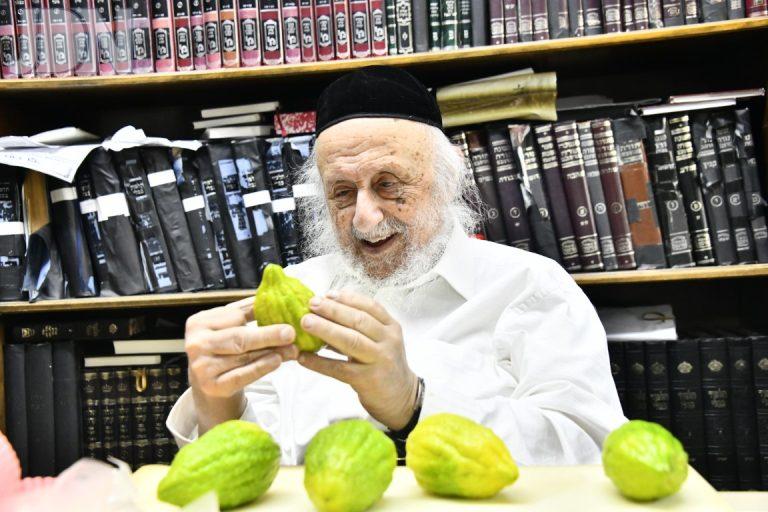הגרב''ד פוברסקי אתרוגים פה (10)