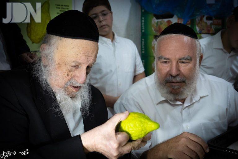 הגרב''ד פוברסקי בבחירת אתרוג (6)