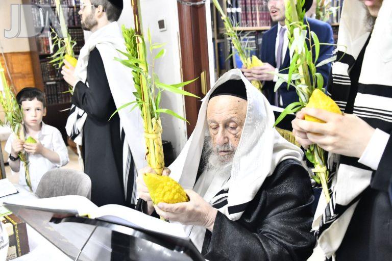 הגרב''ד פוברסקי נענועים (3)