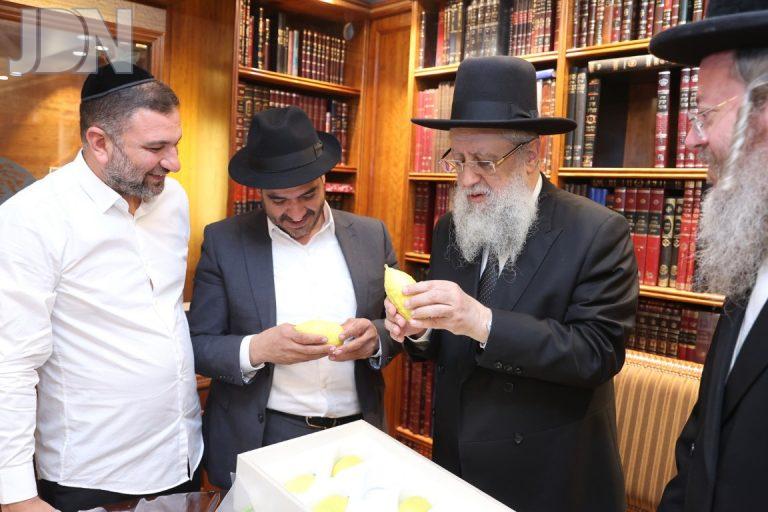 הגר''ד יוסף בבחירת אתרוגים והדסים (16)