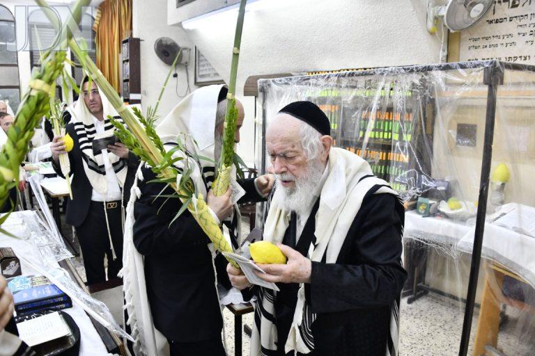 הגר''י זילברשטיין נענועים (4)