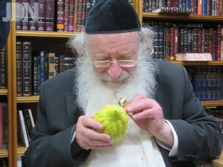 הגרי''א שוורצמן אתרוג (2)