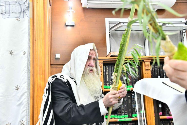 הגר''מ גרוס נענועים (5)