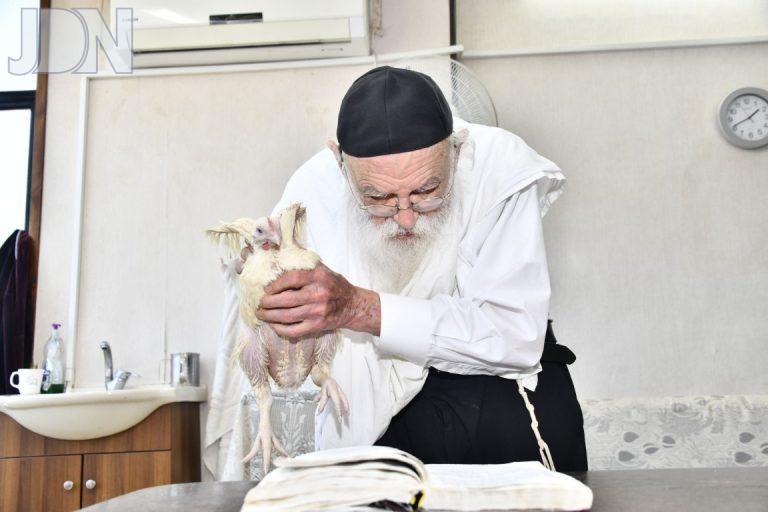 הגר''מ גריינמן כפרות (9)