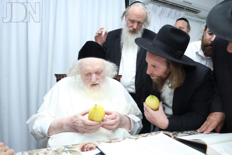 הגר''מ שטרנבוך בודק אתרוג (8)