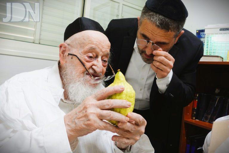 הגרמ''צ ברגמן אתרוגים עשי''ת (6)