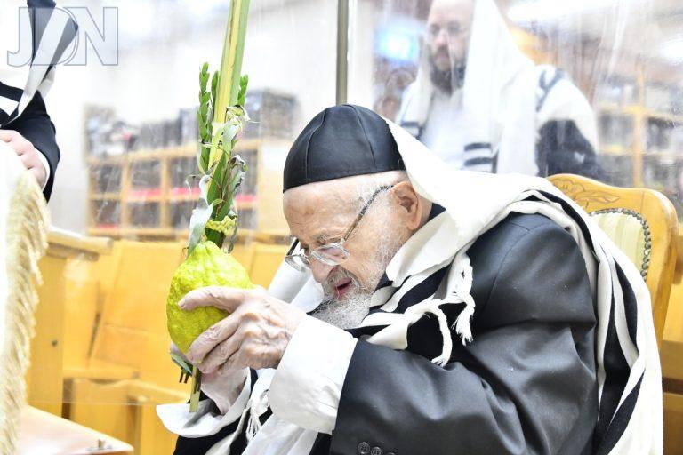 הגרמ''צ ברגמן נענועים (3)