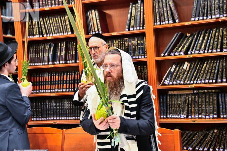 הגר''ע פריד נענועים (11)