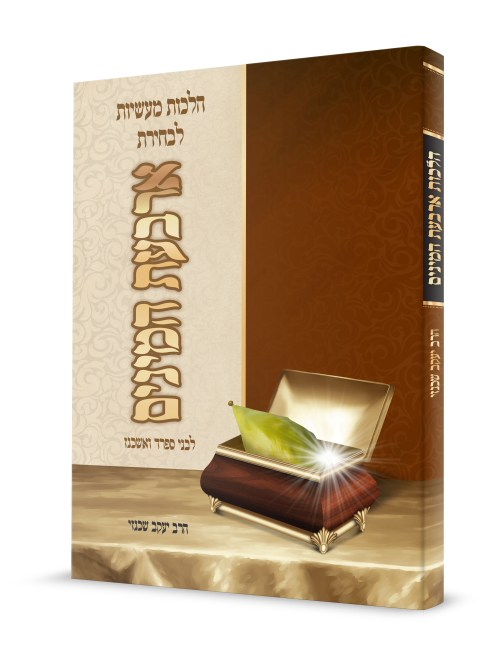 הדמיה3 (Small)