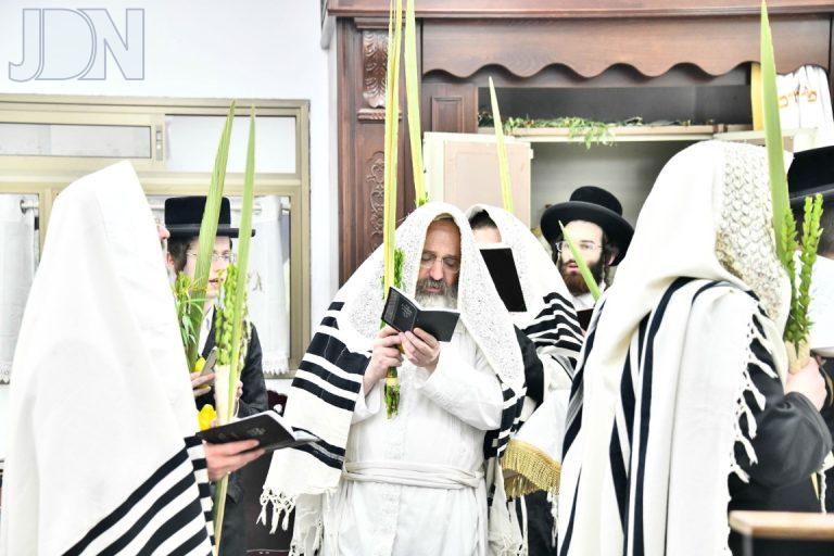 זוטשקא אמסנא הושענא רבא (4)