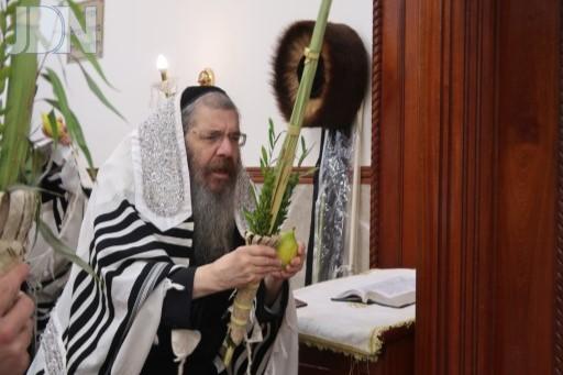 טריסק נענועים (111)
