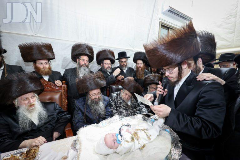 טשארנאביל טעמשוואר פדיון הבן (4)