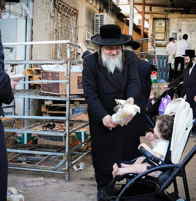 כפרות (15)