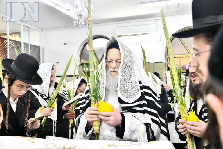 מודז'יץ הושענא רבא תשפ''ה (9)