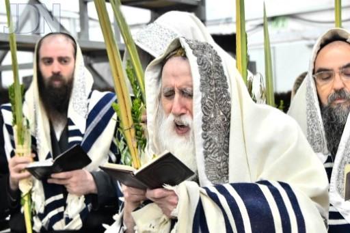 מכנובקא בעלזא הושענא רבא (98)