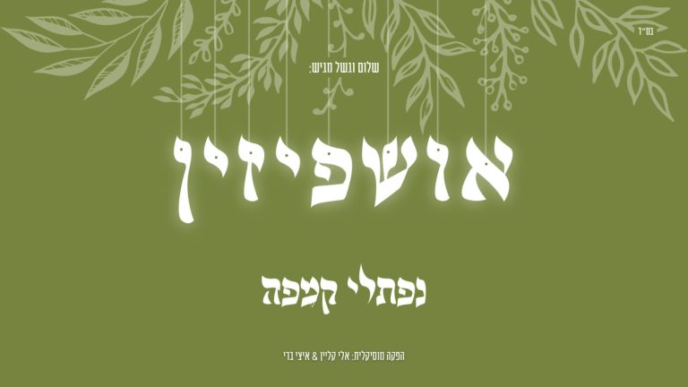מלבן (16)