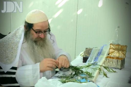נדבורנה אלעד סוכות (444)
