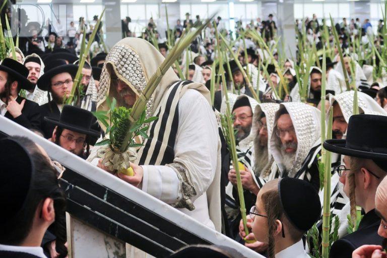 סאטמאר סוכות (31)