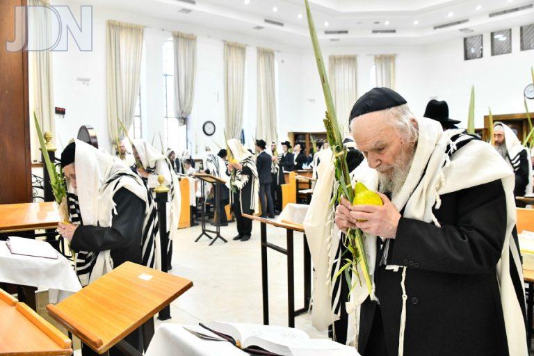 סלבודקא נענועים (16)