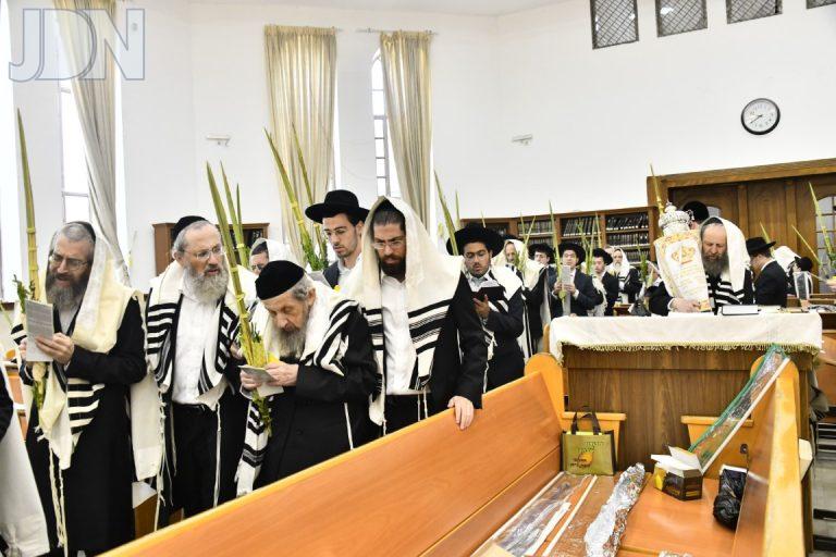 סלבודקא נענועים (20)
