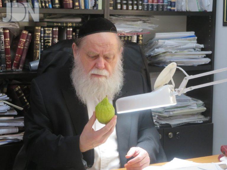 ערב חג הסוכות באלעד (2)