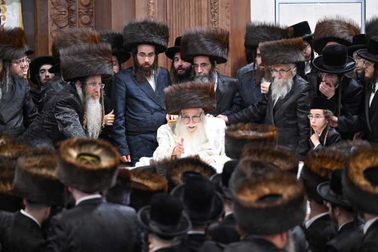 צאנז (6)