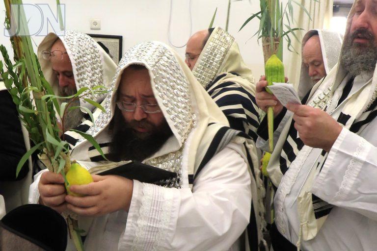 צאנז ז'ימגראד הושענא רבא (555)