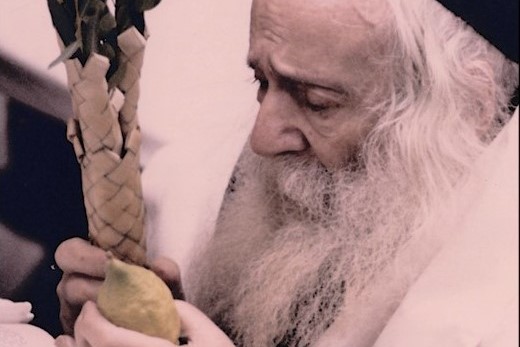 צילום מסך 11120555524-10-23 020735
