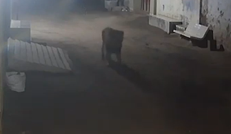 צילום מסך 2024-10-15 223558