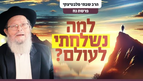 צילום מסך 2024-10-29 103718