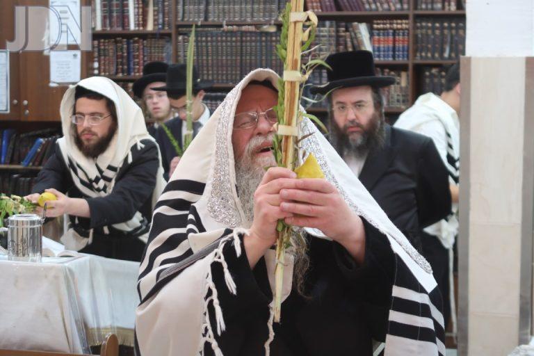 קוזמיר נענועים י
