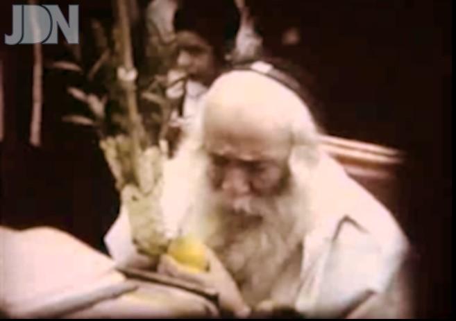 קלויזענבורג סוכות