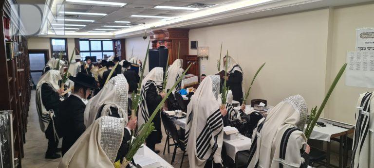 ראדאמסק בארא פארק חג הסוכות (4)