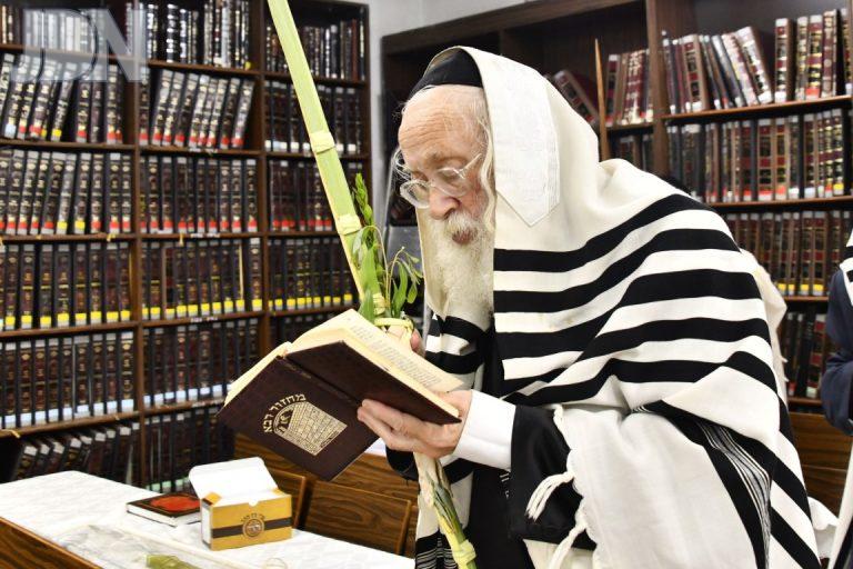 רבי יהודה סילמן נענועים (66)