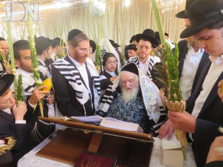 רבי משה שטרנבוך שחרית סוכה (7)