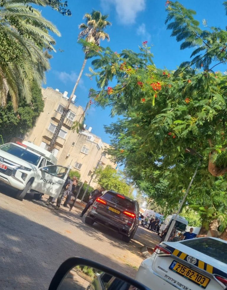 תמונה של WhatsApp‏ 2024-10-09 בשעה 11.36